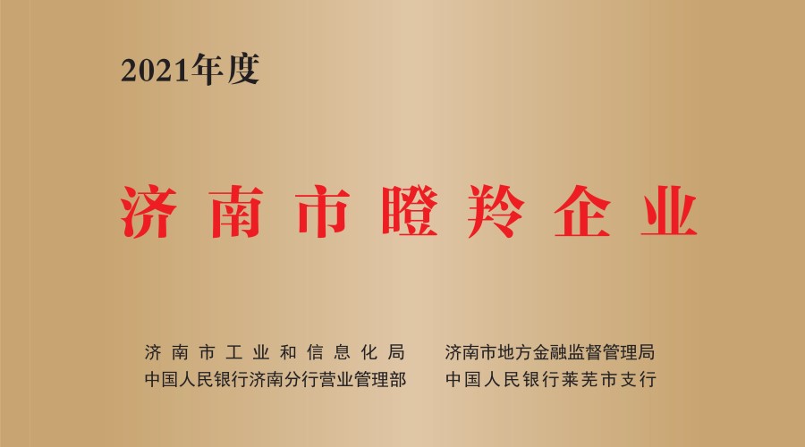 济南市瞪羚企业